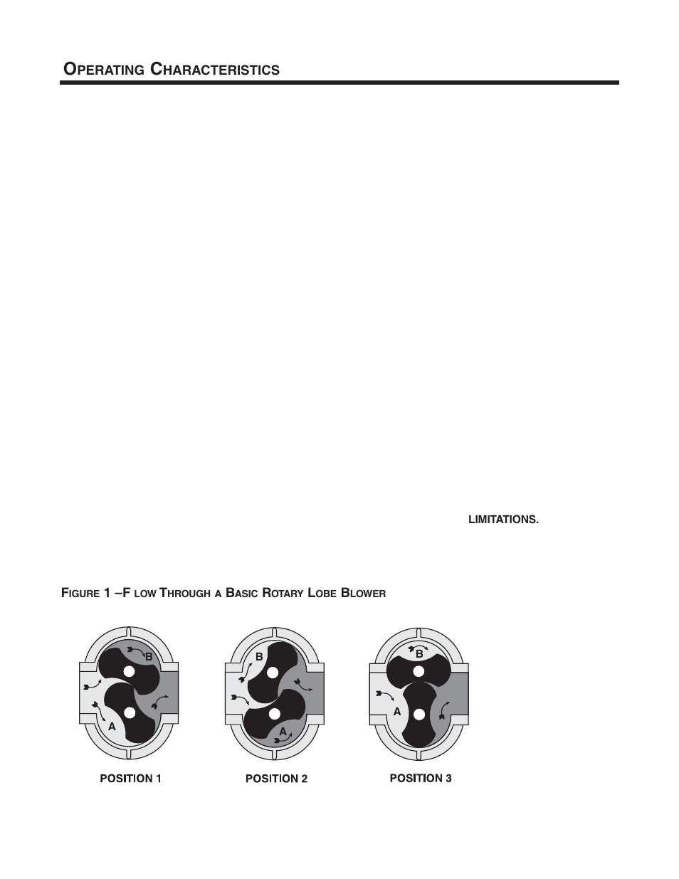 CAMCORP Blower Package with Roots Blower User Manual | Page 31 / 62