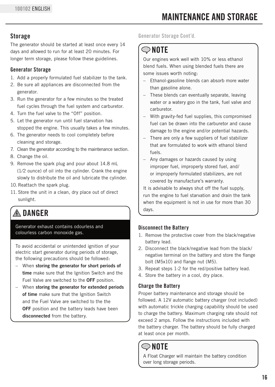 Maintenance and storage, Danger, Storage | Champion Power Equipment 100102 User Manual | Page 19 / 30