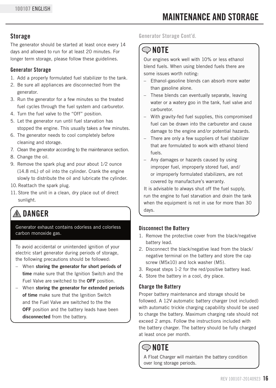 Maintenance and storage, Danger, Storage | Champion Power Equipment 100107 User Manual | Page 19 / 30