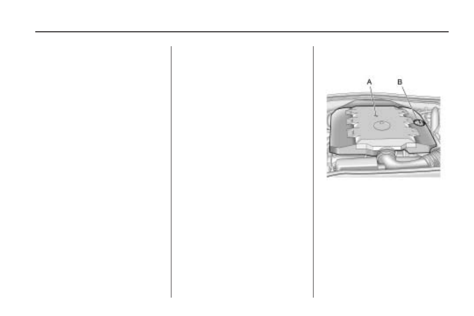 Engine cover, Vehicle care 9-9 | CHEVROLET 2010 Camaro User Manual | Page 241 / 372