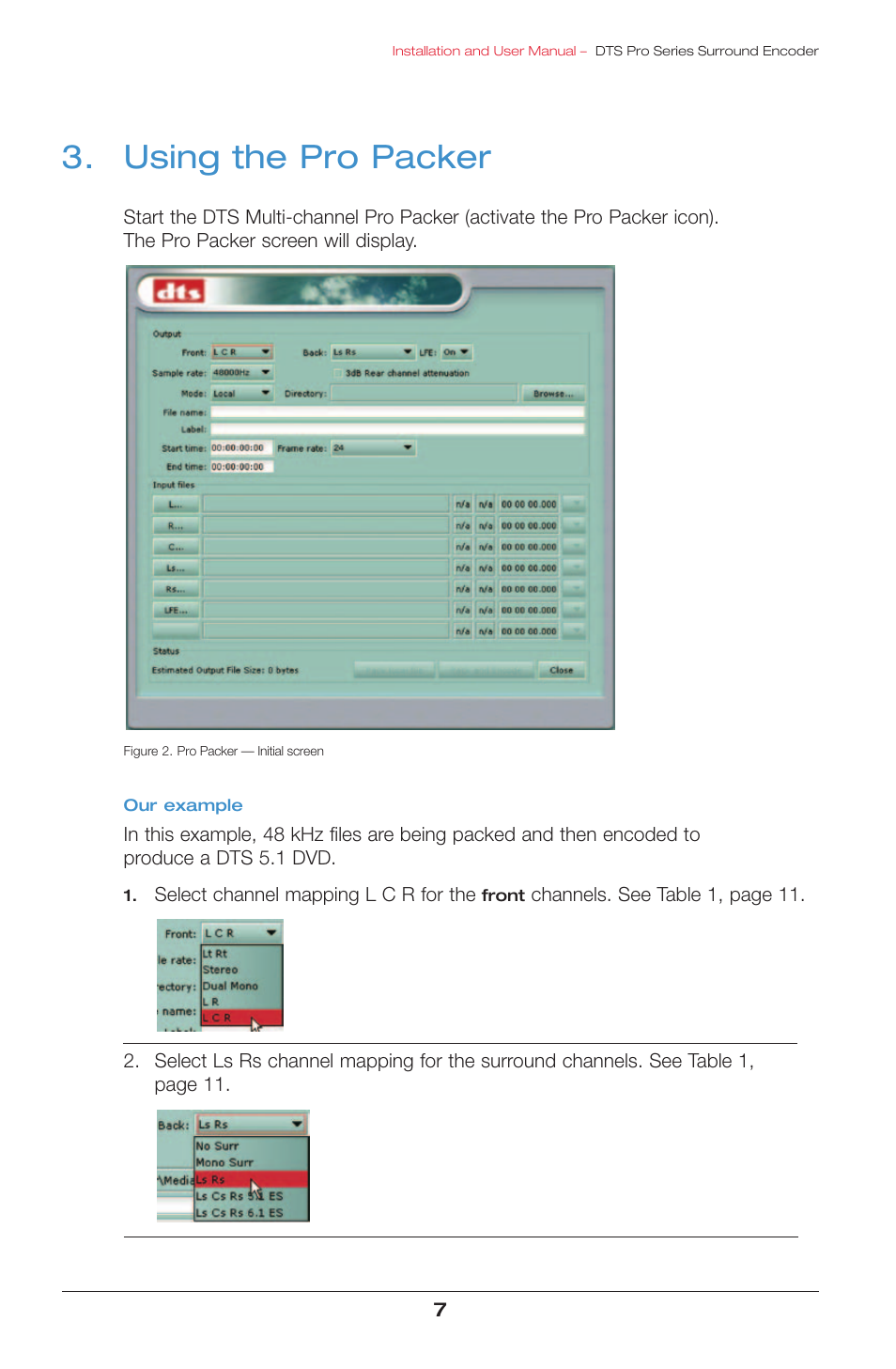 Using the pro packer | DTS surround encoder User Manual | Page 9 / 28