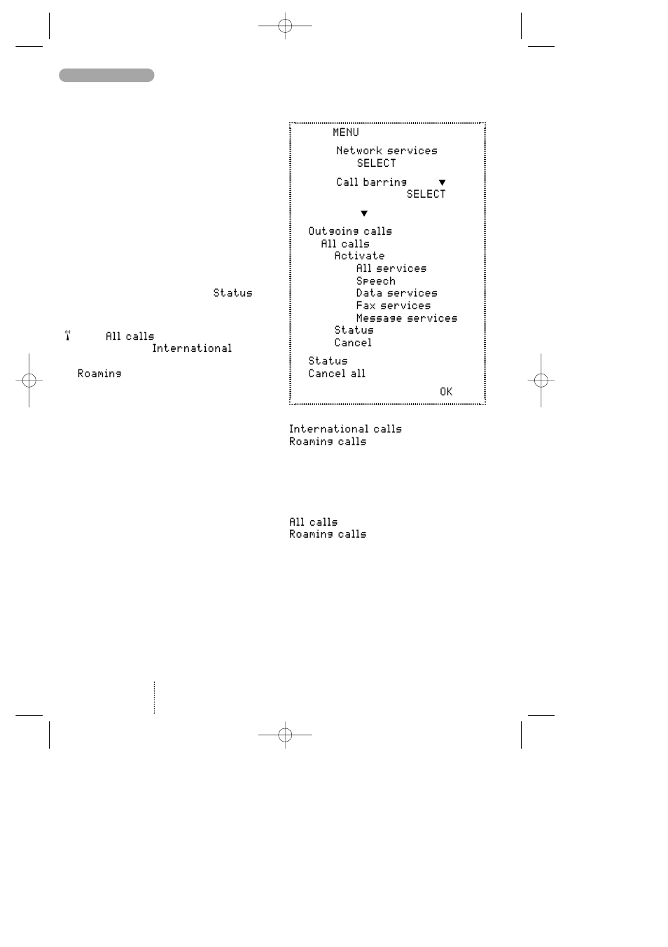 Call divert | Bosch GSM 908 User Manual | Page 27 / 45