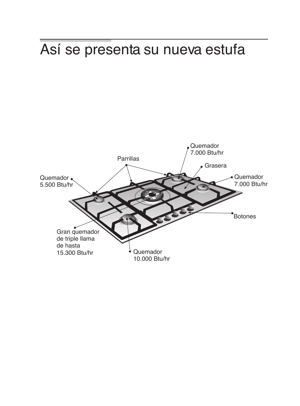 Así se presenta su nueva estufa | Bosch PGL985UC User Manual | Page 54 / 65