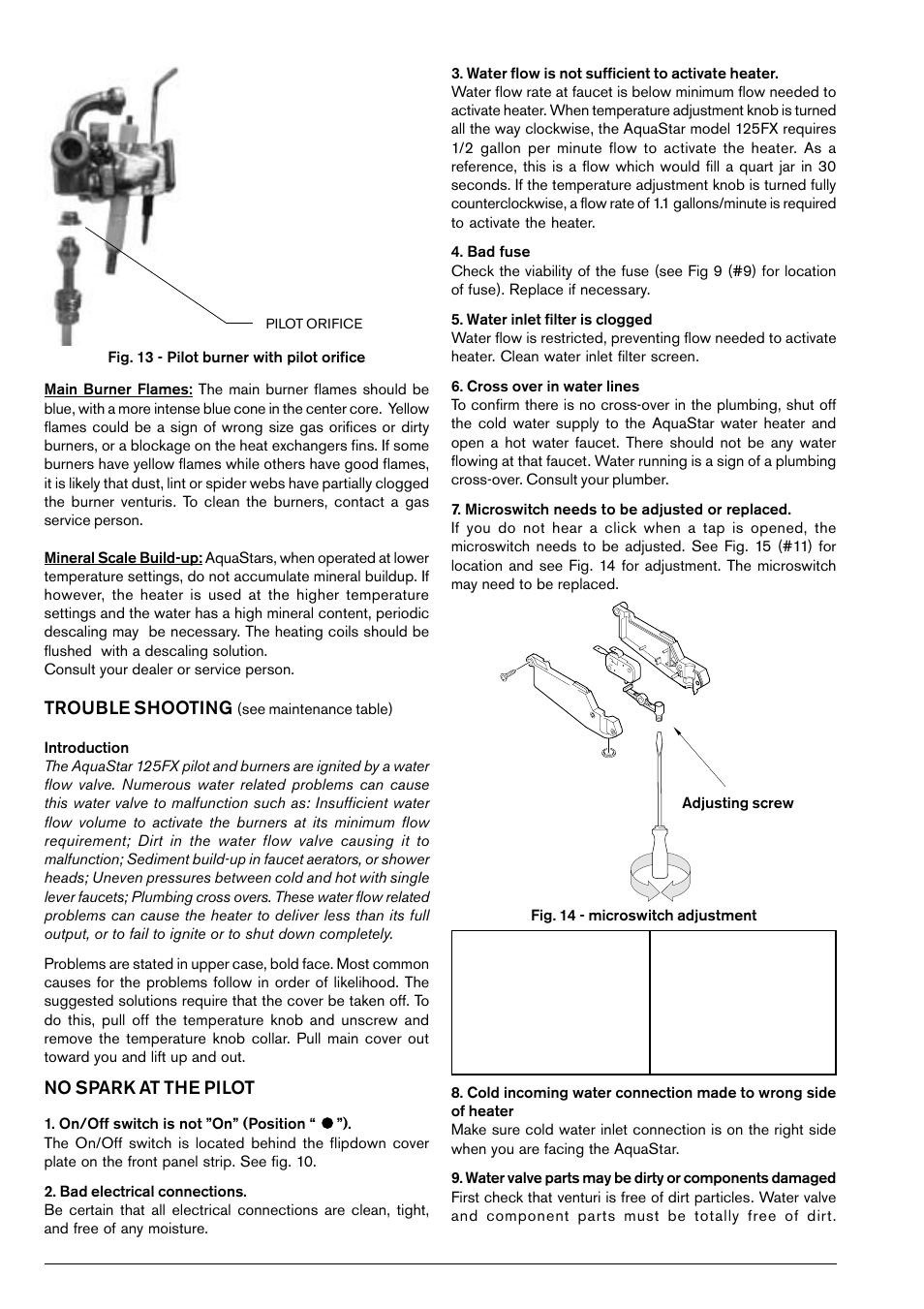Trouble shooting, No spark at the pilot | Bosch 125FX LP User Manual | Page 16 / 26