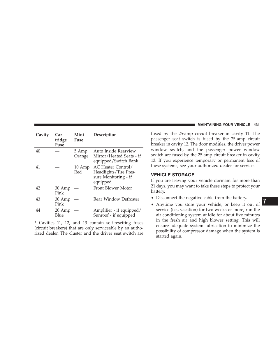 Vehicle storage | Chrysler 2009 300 SRT User Manual | Page 433 / 493