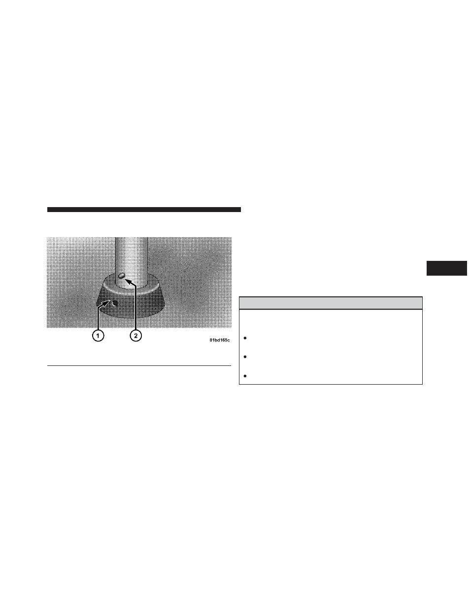 Chrysler 2009 Country - Owner Manual User Manual | Page 167 / 543