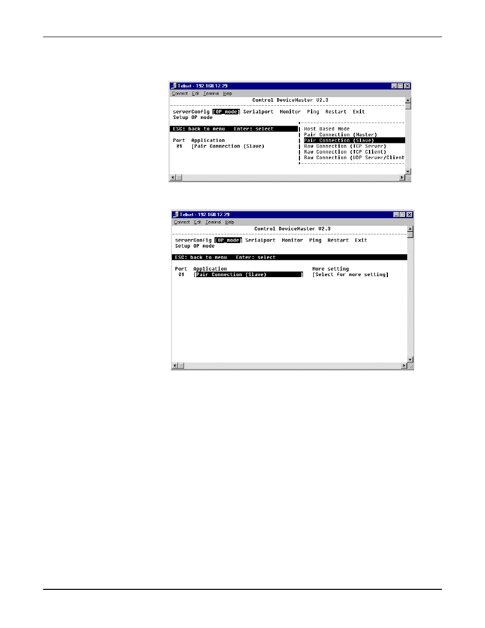 Comtrol DM Primo for Pair Connect and Raw Connect Methods User Manual | Page 10 / 30