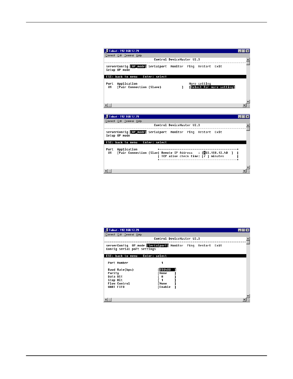 Review the following values | Comtrol DM Primo for Pair Connect and Raw Connect Methods User Manual | Page 11 / 30