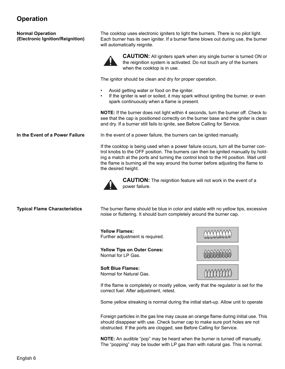 Operation, Normal operation (electronic ignition/reignition), In the event of a power failure | Typical flame characteristics | Bosch NGT User Manual | Page 10 / 48