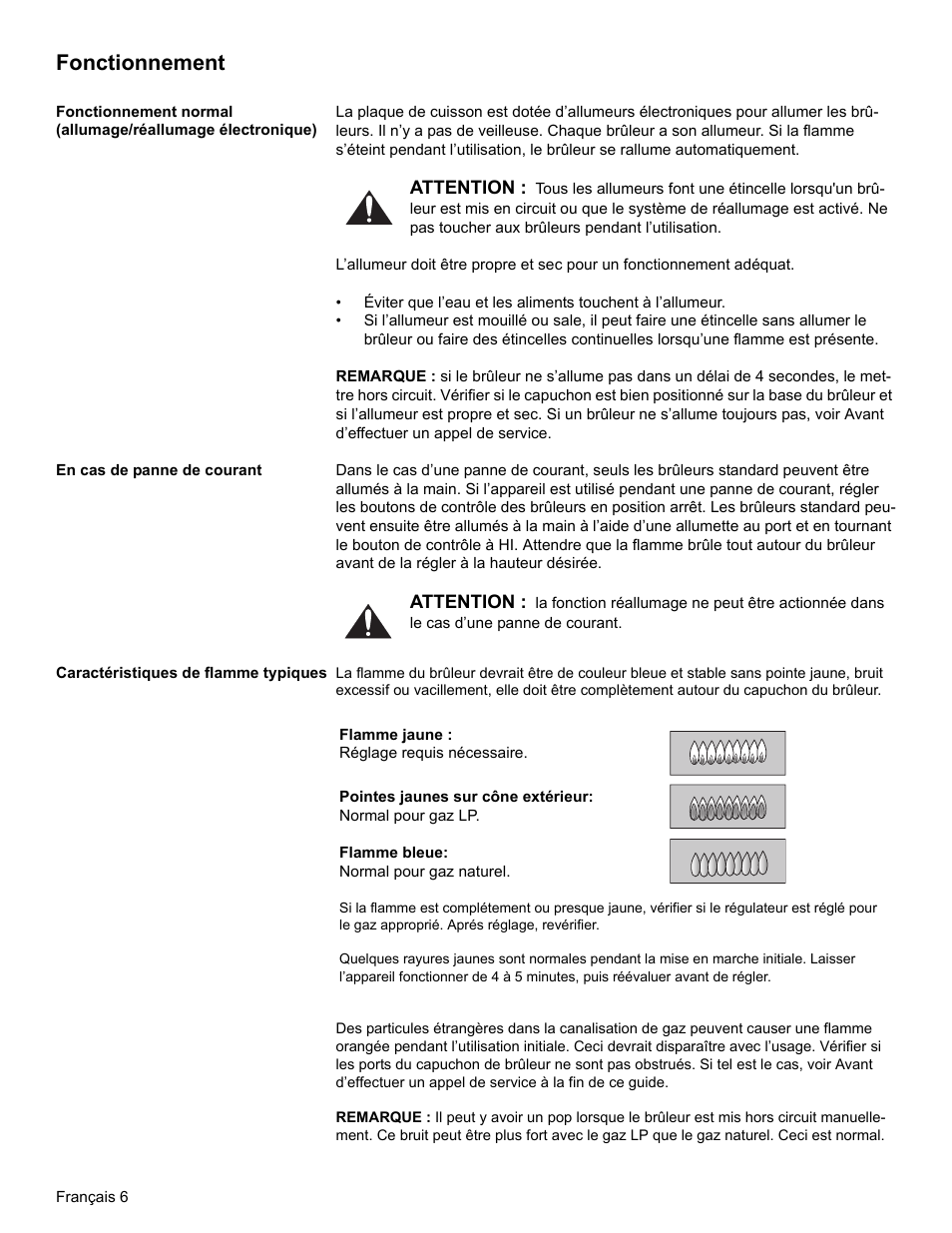 Fonctionnement, En cas de panne de courant, Caractéristiques de flamme typiques | Bosch NGT User Manual | Page 24 / 48