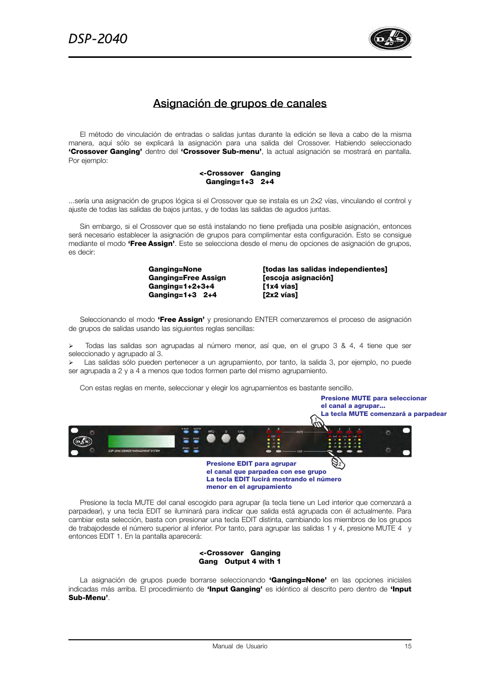 Dsp-2040, Asignación de grupos de canales | D.A.S. Audio DSP2040 User Manual | Page 19 / 32