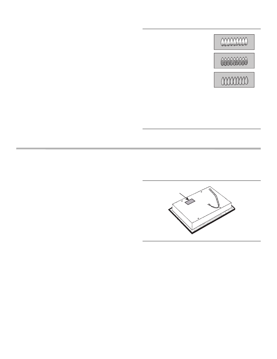 Final check, Figure 11: checking flame characteristics, Service | Before calling service, Product data plate, Figure 12: data plate location | Bosch NGM User Manual | Page 10 / 32