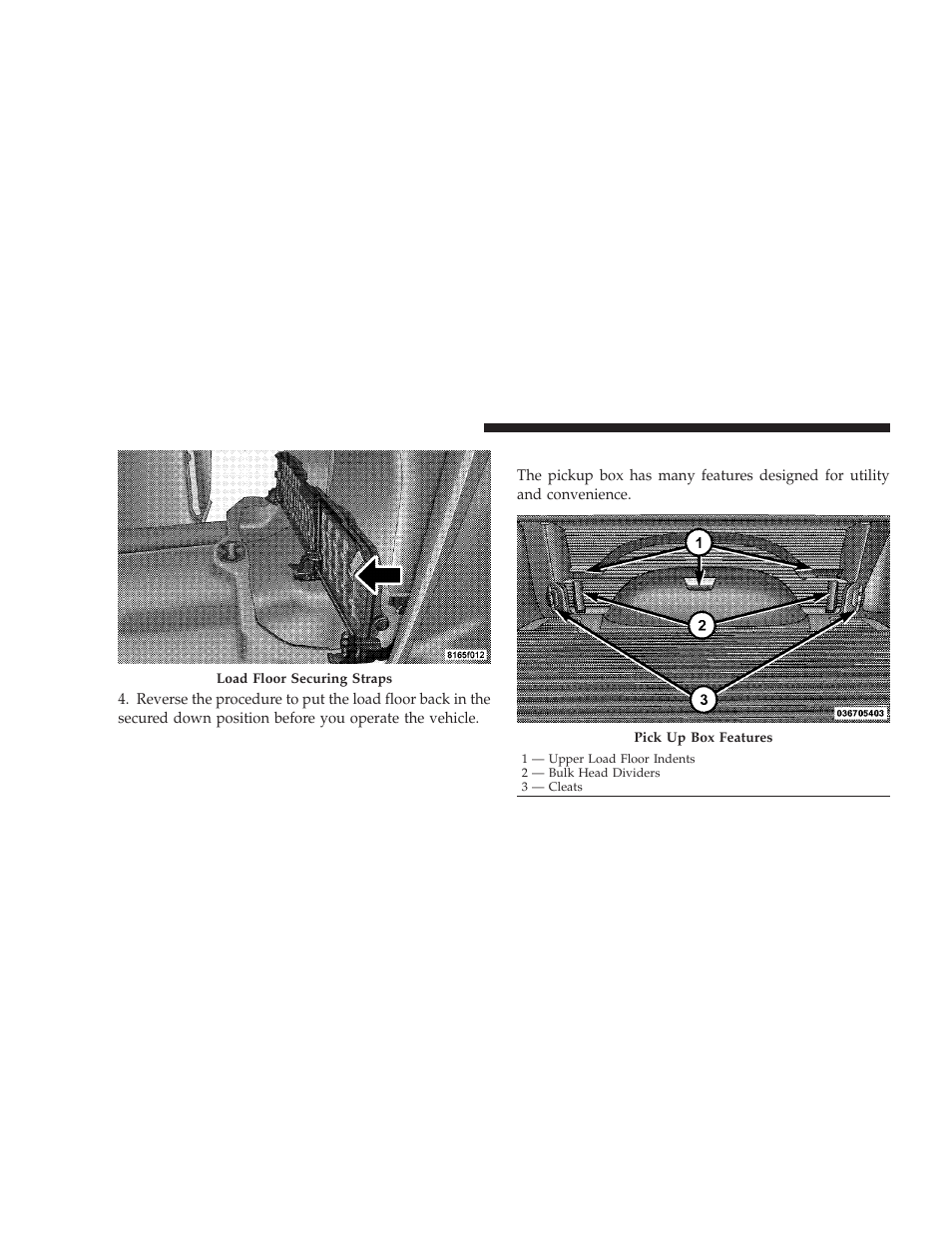 Pickup box | Dodge 2009 Ram User Manual | Page 178 / 532