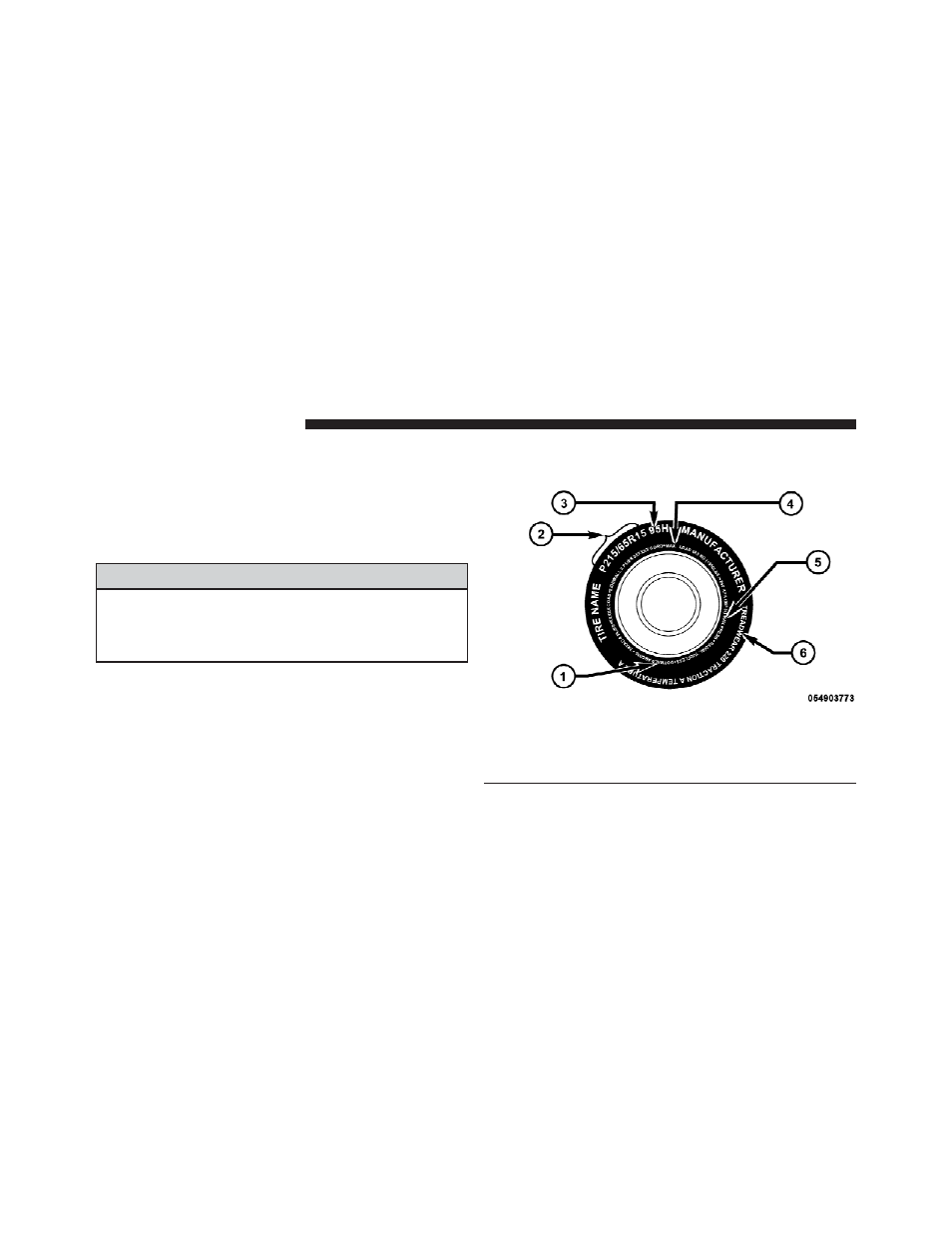 Tire safety information, Tire markings, Warning | Dodge 2009 Ram 1500 User Manual | Page 364 / 543