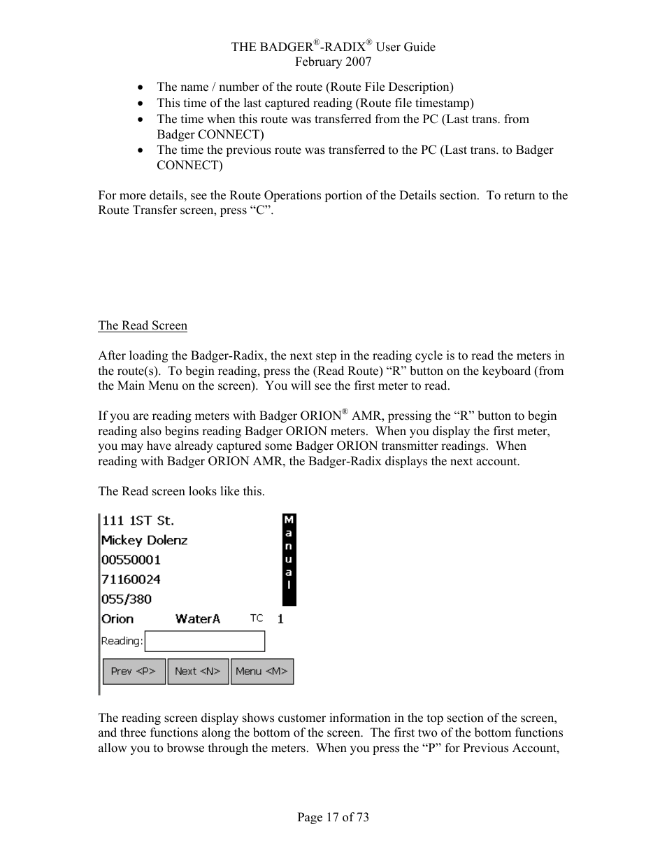 The details – reading meters with the badger-radix | Badger Basket Radix N64944-001 User Manual | Page 18 / 75