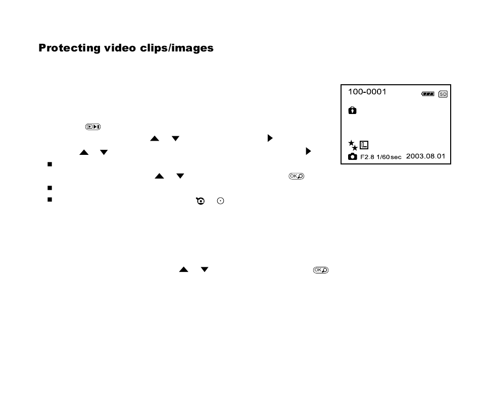 Protecting video clips/images | Cool-Lux DVR-200 User Manual | Page 31 / 51