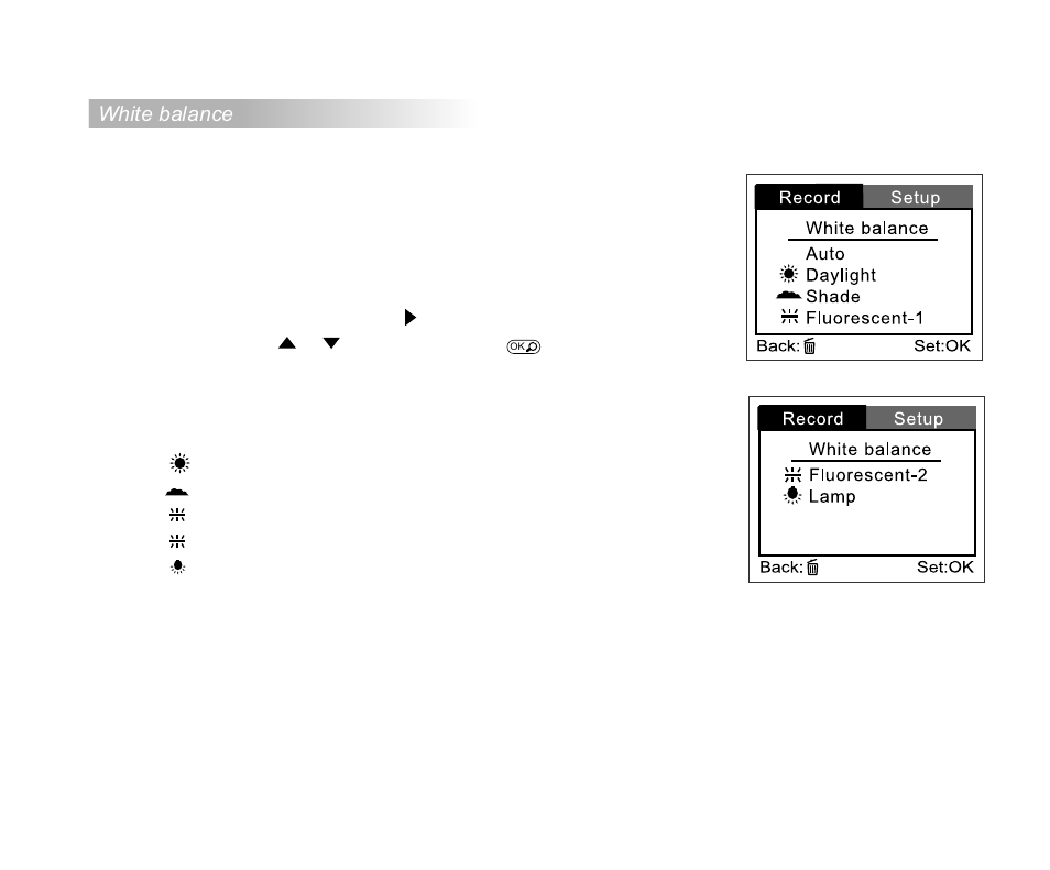 White balance | Cool-Lux DVR-200 User Manual | Page 39 / 51