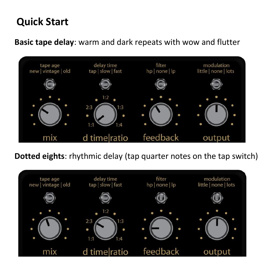 Quick start | Empress Effects Tape Delay User Manual | Page 3 / 12