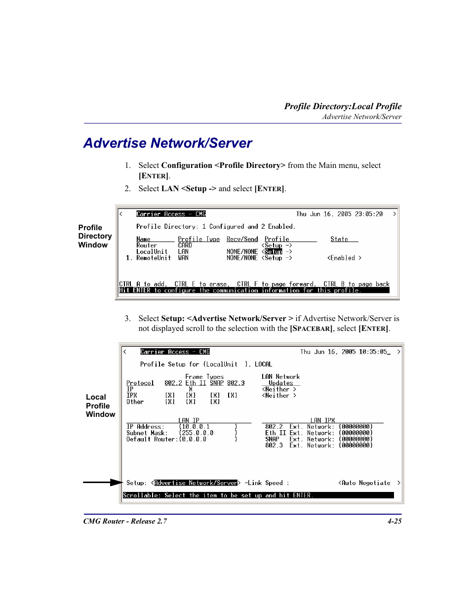 Advertise network/server, Advertise network/server -25 | Carrier Access CMG Router User Manual | Page 111 / 296