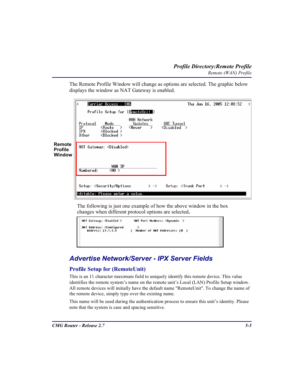 Advertise network/server - ipx server fields | Carrier Access CMG Router User Manual | Page 137 / 296