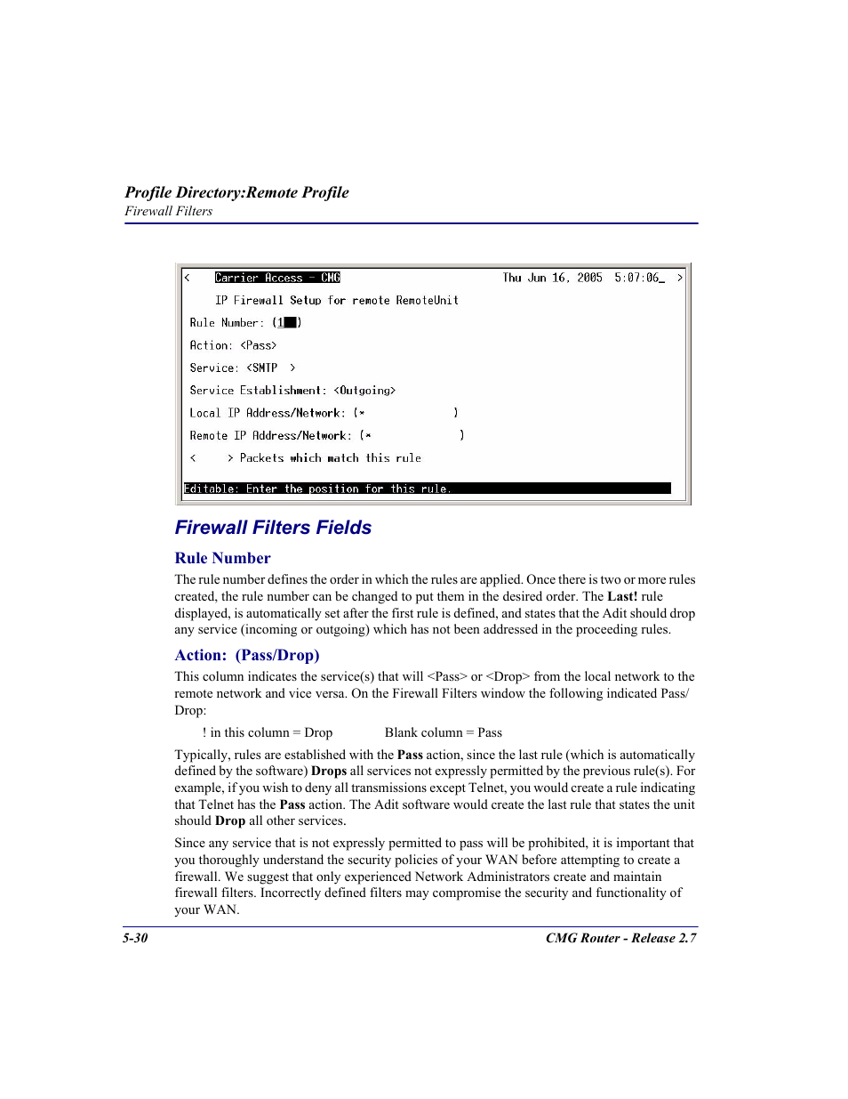 Firewall filters fields | Carrier Access CMG Router User Manual | Page 162 / 296