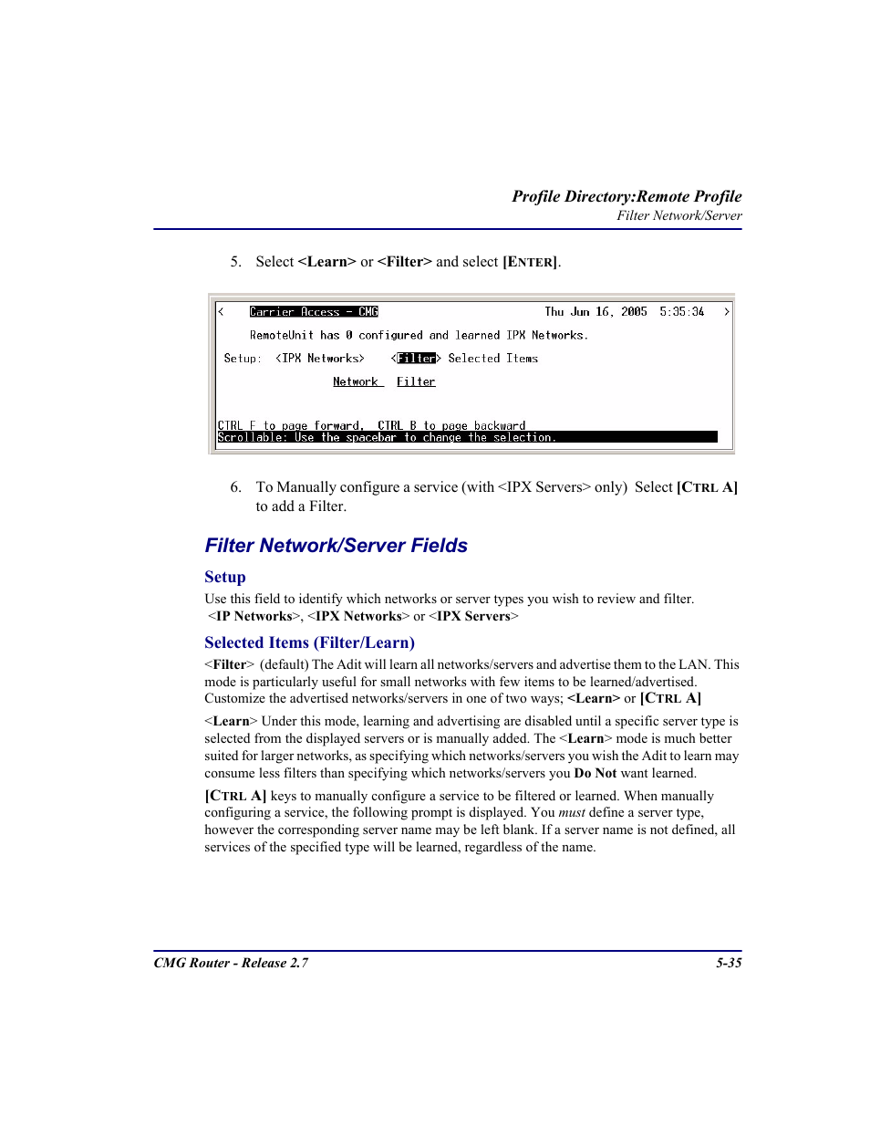 Filter network/server fields | Carrier Access CMG Router User Manual | Page 167 / 296