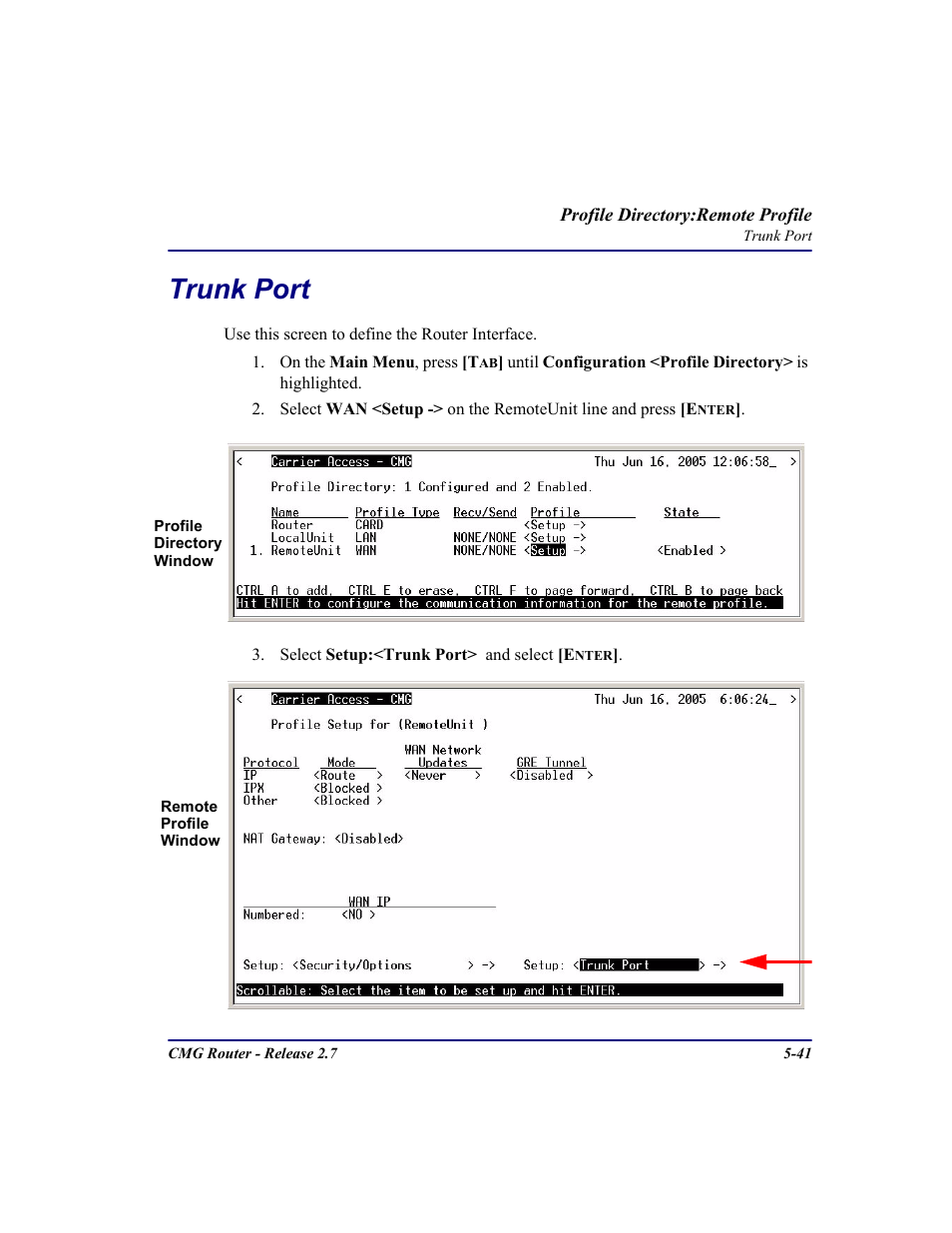 Trunk port, Trunk port -41 | Carrier Access CMG Router User Manual | Page 173 / 296