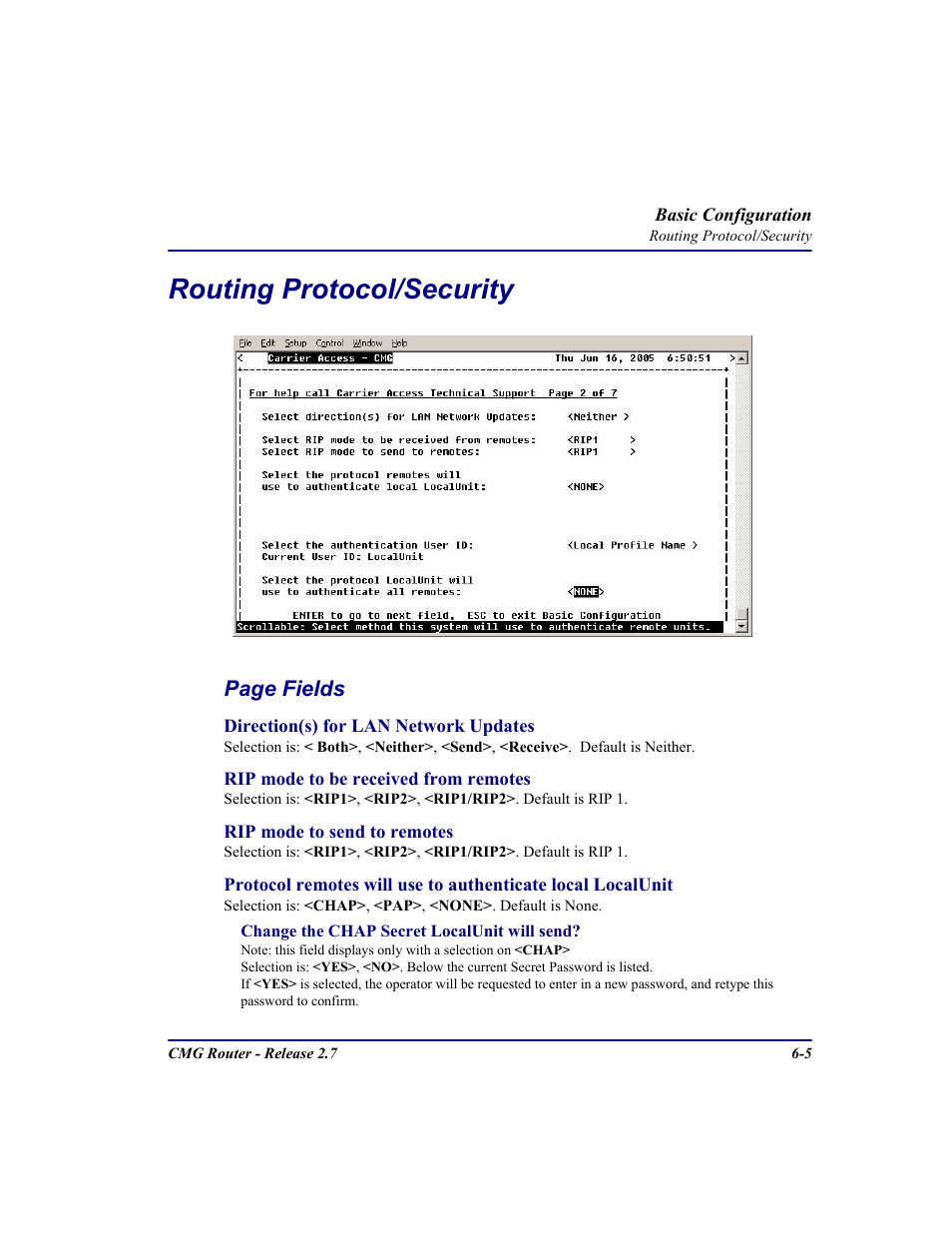 Routing protocol/security, Routing protocol/security -5, Page fields | Carrier Access CMG Router User Manual | Page 179 / 296