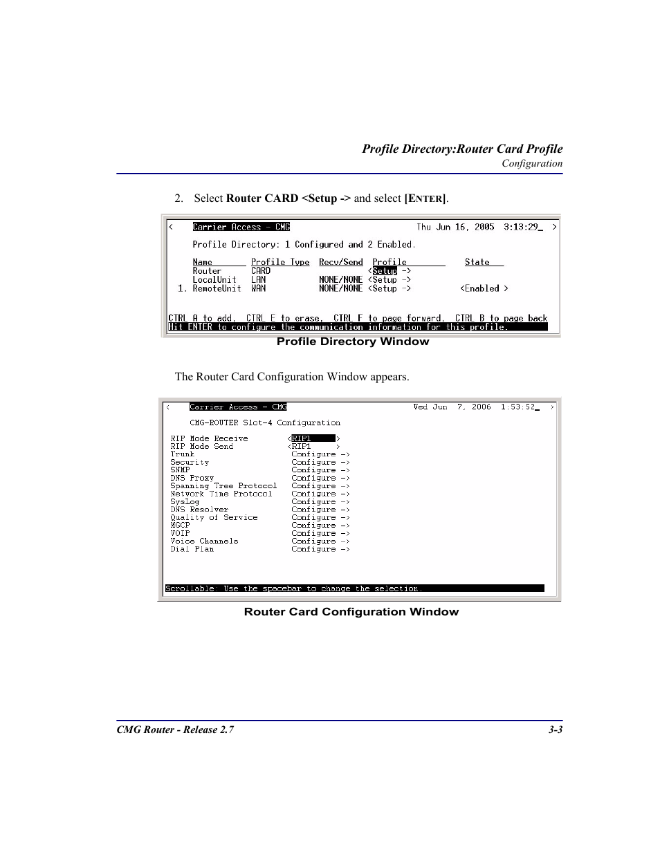 Carrier Access CMG Router User Manual | Page 41 / 296