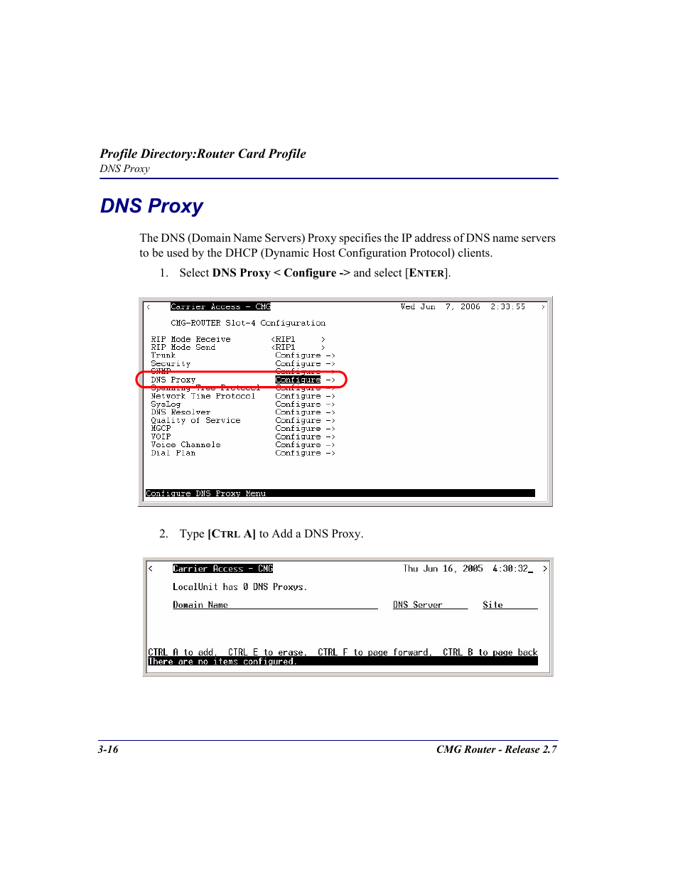 Dns proxy, Dns proxy -16 | Carrier Access CMG Router User Manual | Page 54 / 296