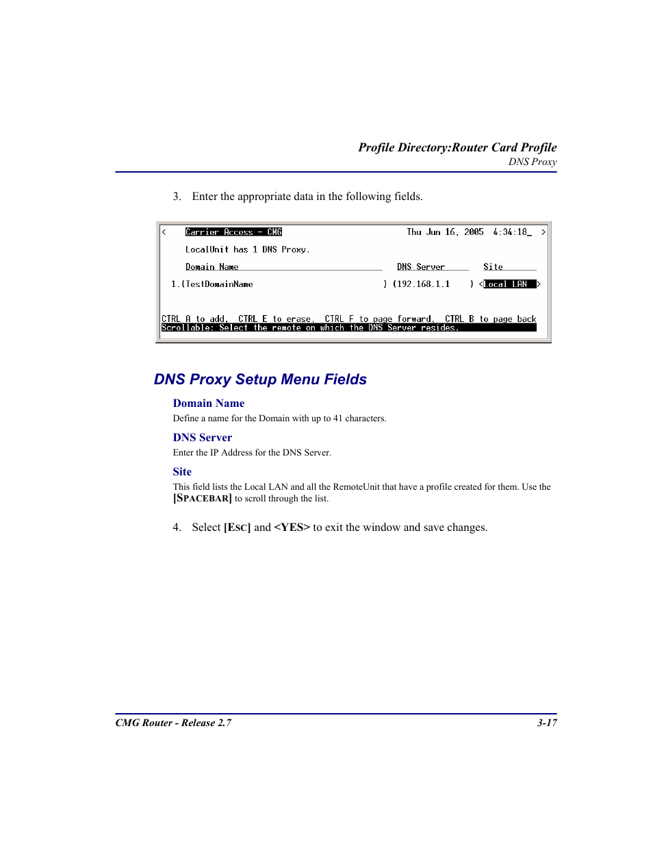 Dns proxy setup menu fields | Carrier Access CMG Router User Manual | Page 55 / 296