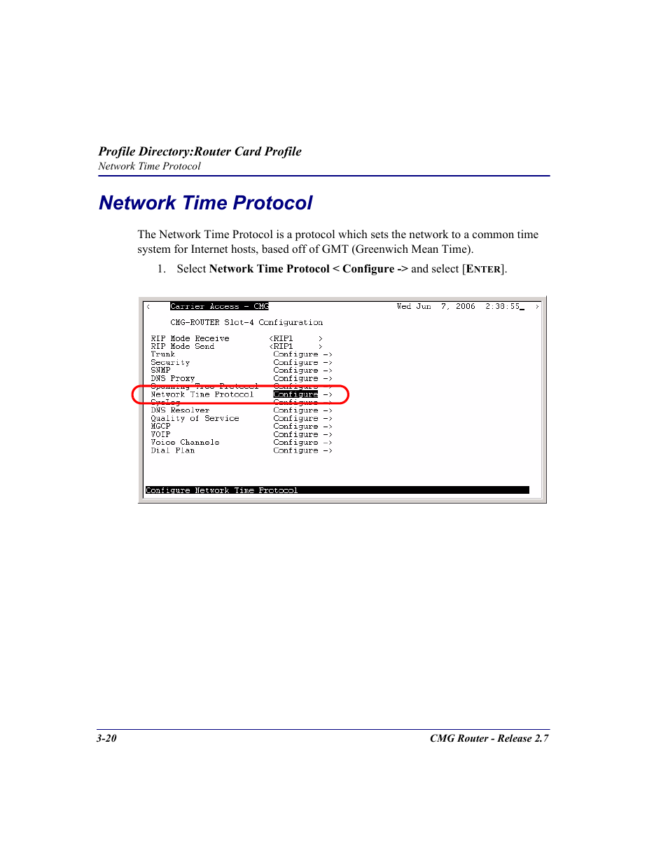 Network time protocol, Network time protocol -20 | Carrier Access CMG Router User Manual | Page 58 / 296