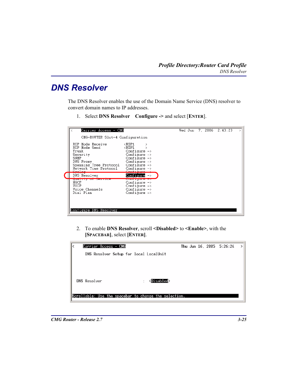 Dns resolver, Dns resolver -25 | Carrier Access CMG Router User Manual | Page 63 / 296