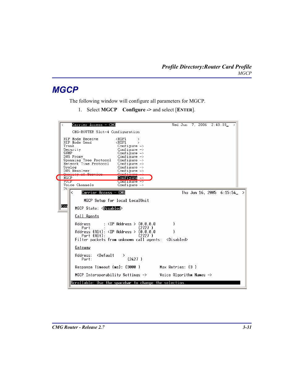 Mgcp, Mgcp -31 | Carrier Access CMG Router User Manual | Page 69 / 296