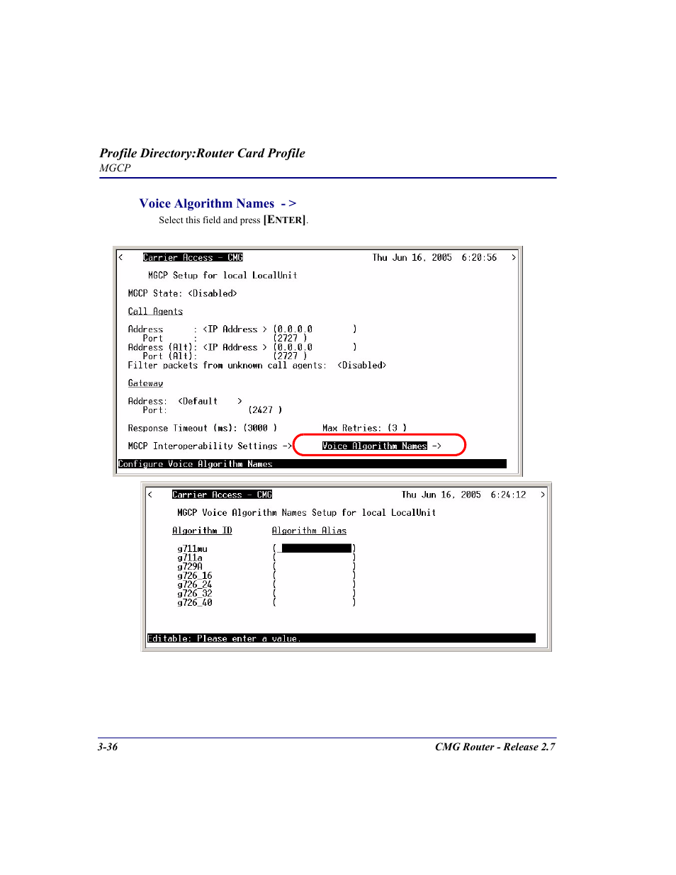 Carrier Access CMG Router User Manual | Page 74 / 296