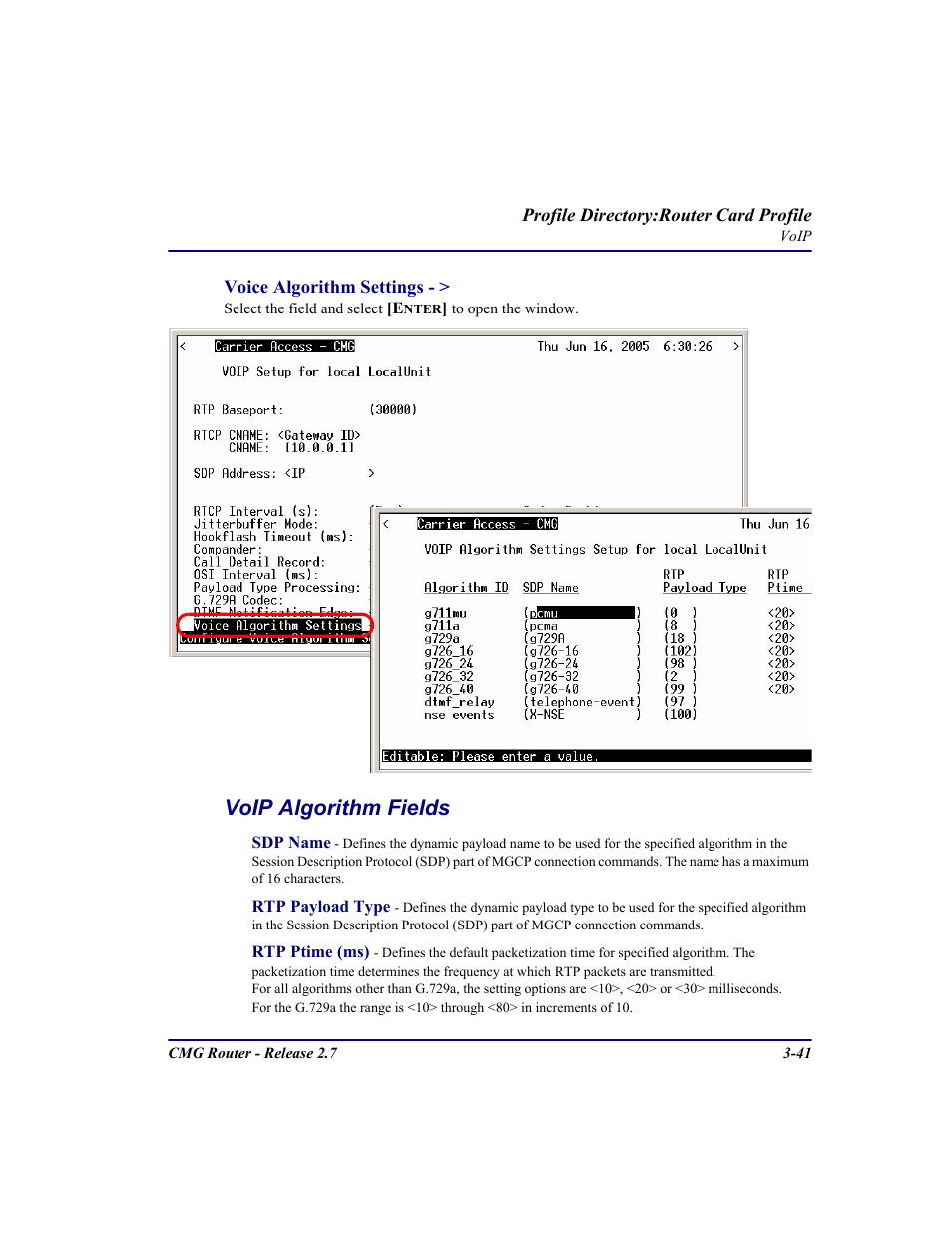 Voip algorithm fields | Carrier Access CMG Router User Manual | Page 79 / 296