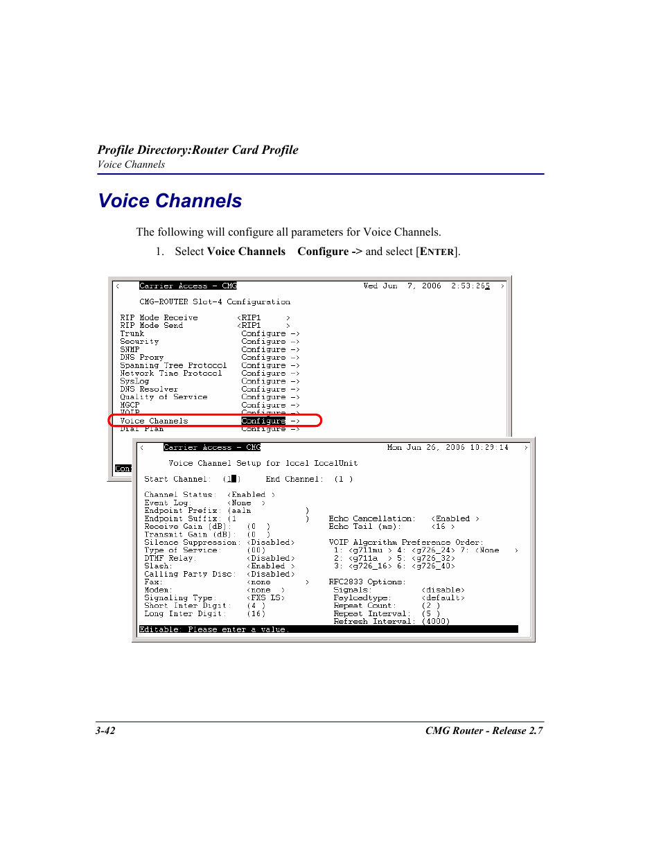 Voice channels, Voice channels -42 | Carrier Access CMG Router User Manual | Page 80 / 296