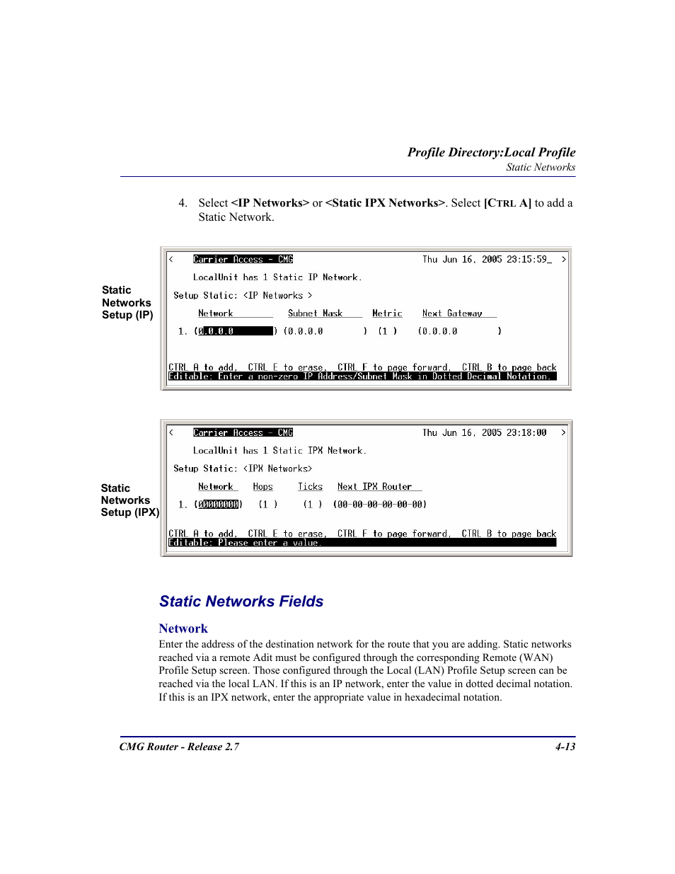 Static networks fields | Carrier Access CMG Router User Manual | Page 99 / 296