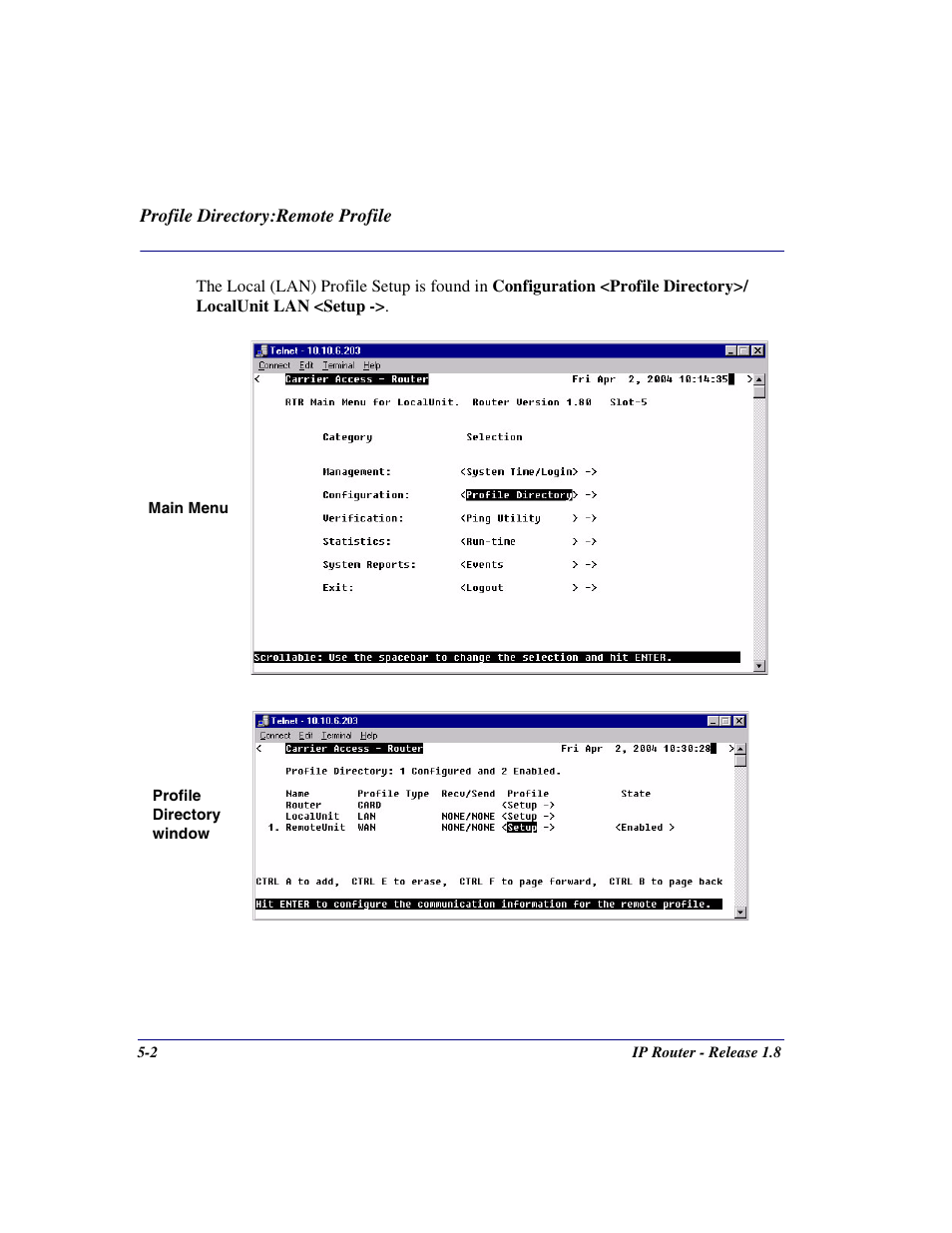 Carrier Access 770-0015 AM User Manual | Page 102 / 250
