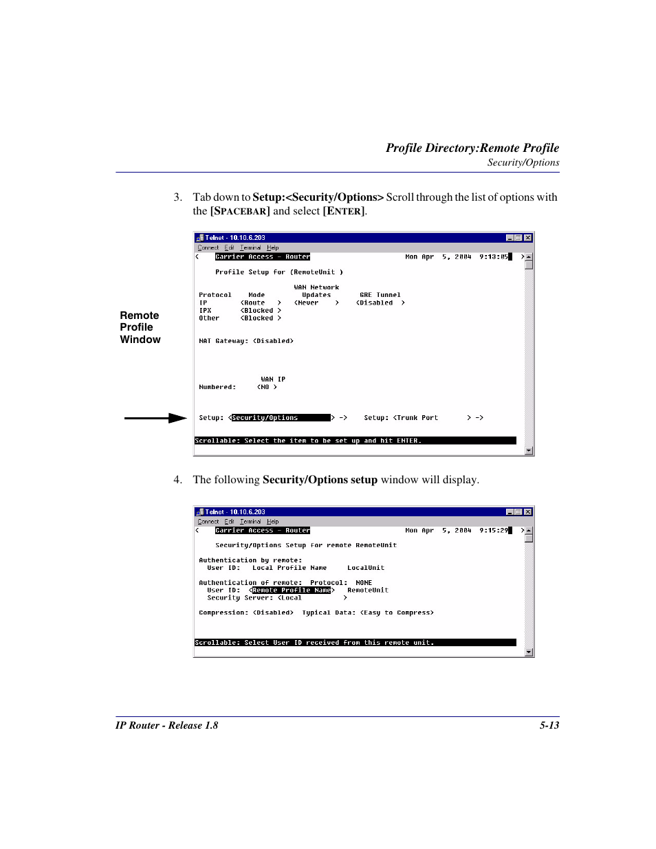 Carrier Access 770-0015 AM User Manual | Page 113 / 250