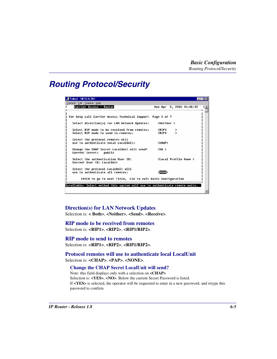 Routing protocol/security, Routing protocol/security -5 | Carrier Access 770-0015 AM User Manual | Page 151 / 250