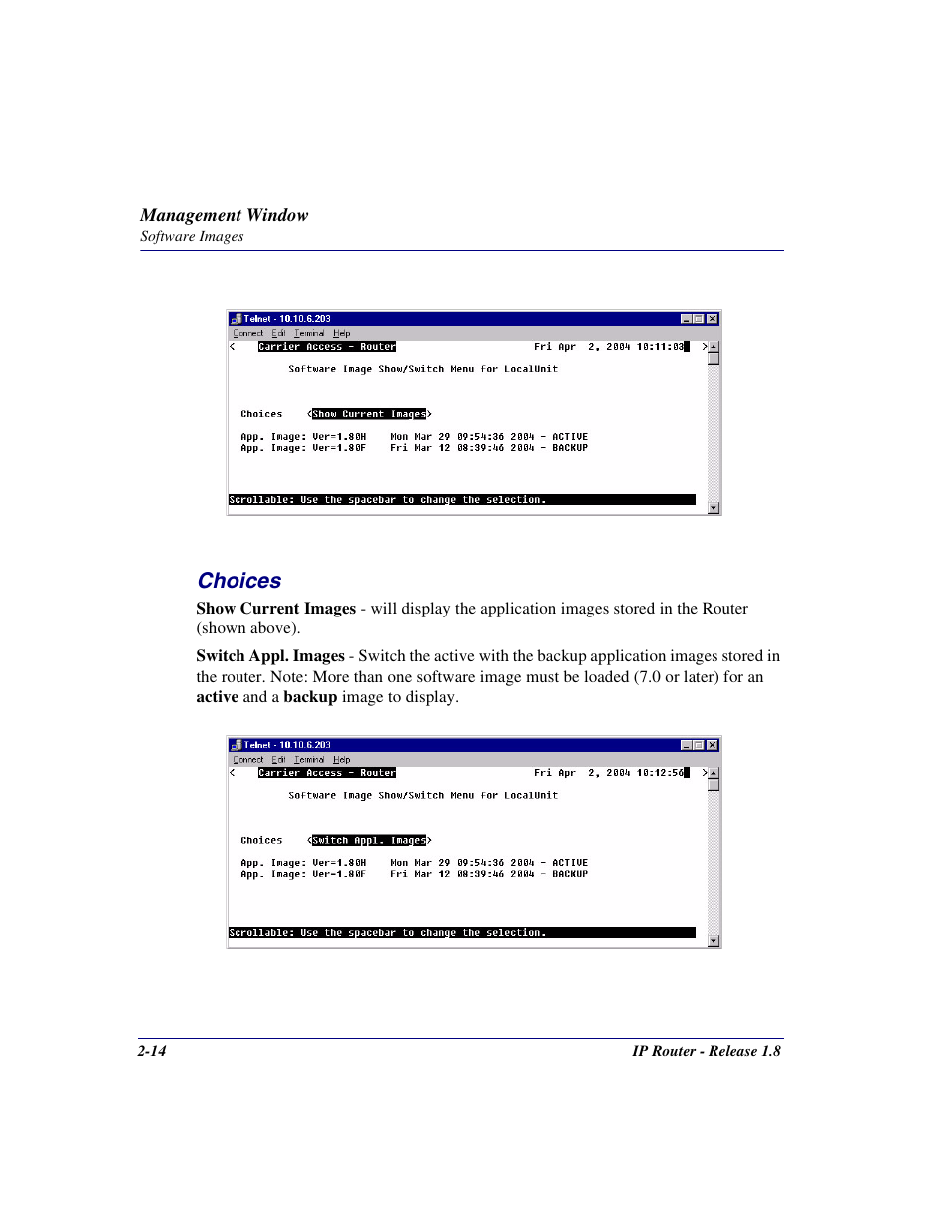 Choices, Choices -14 | Carrier Access 770-0015 AM User Manual | Page 30 / 250