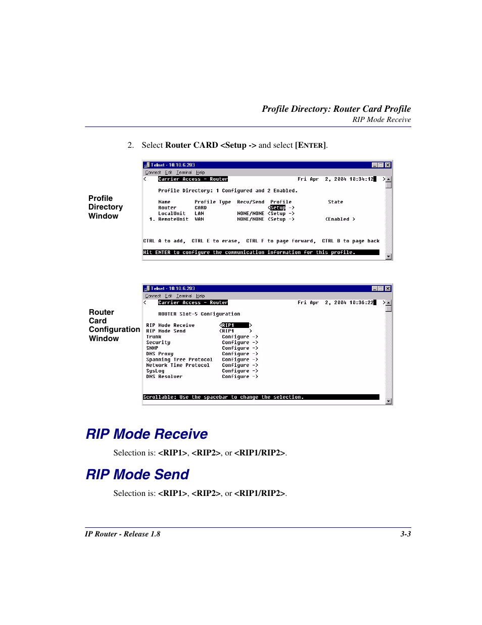 Rip mode receive, Rip mode send, Rip mode receive -3 rip mode send -3 | Carrier Access 770-0015 AM User Manual | Page 33 / 250