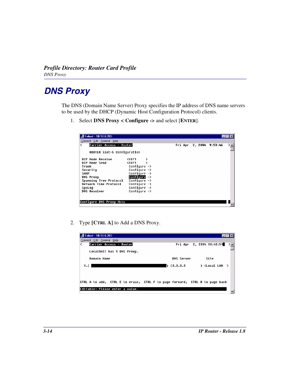 Dns proxy, Dns proxy -14 | Carrier Access 770-0015 AM User Manual | Page 44 / 250