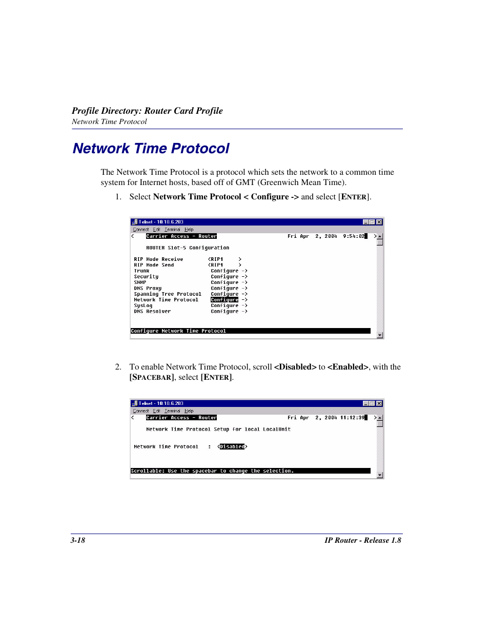 Network time protocol, Network time protocol -18 | Carrier Access 770-0015 AM User Manual | Page 48 / 250