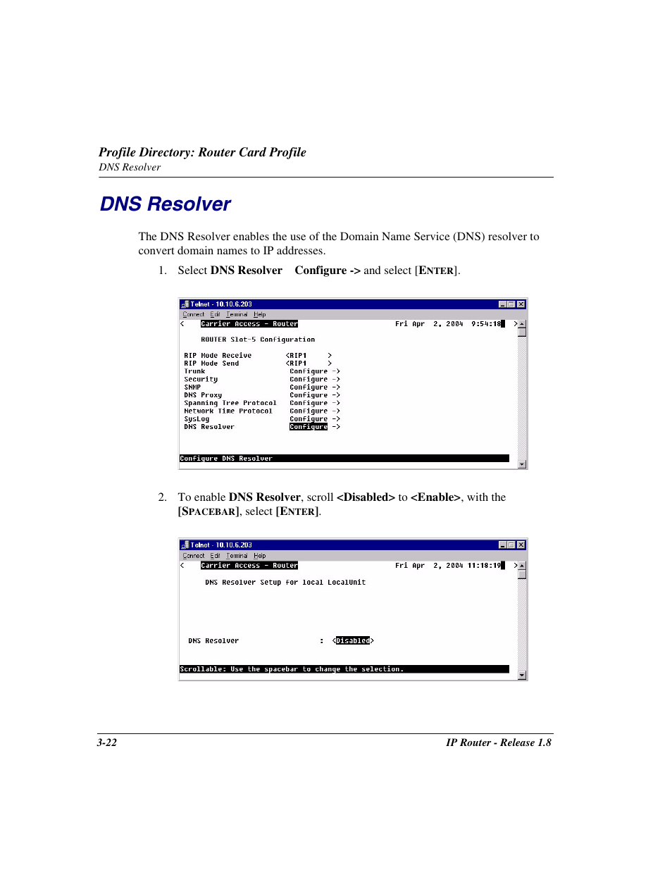 Dns resolver, Dns resolver -22 | Carrier Access 770-0015 AM User Manual | Page 52 / 250