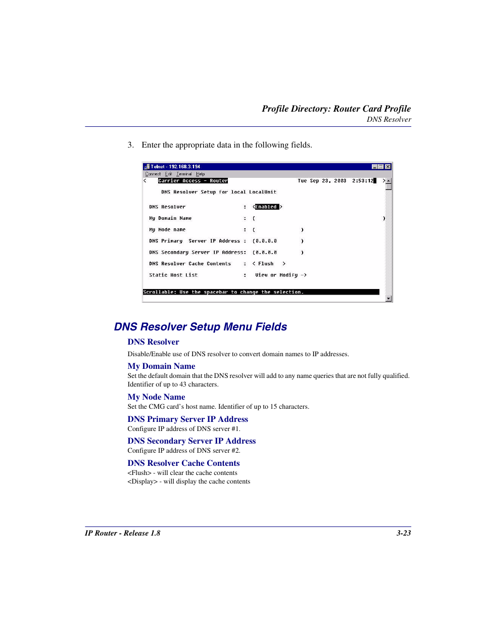 Dns resolver setup menu fields | Carrier Access 770-0015 AM User Manual | Page 53 / 250