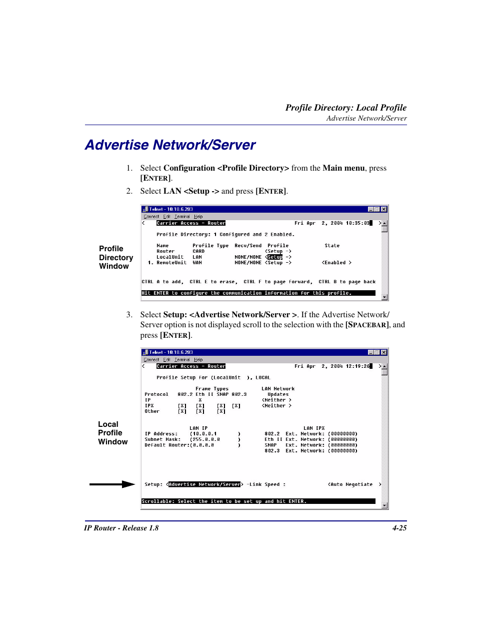 Advertise network/server, Advertise network/server -25 | Carrier Access 770-0015 AM User Manual | Page 81 / 250
