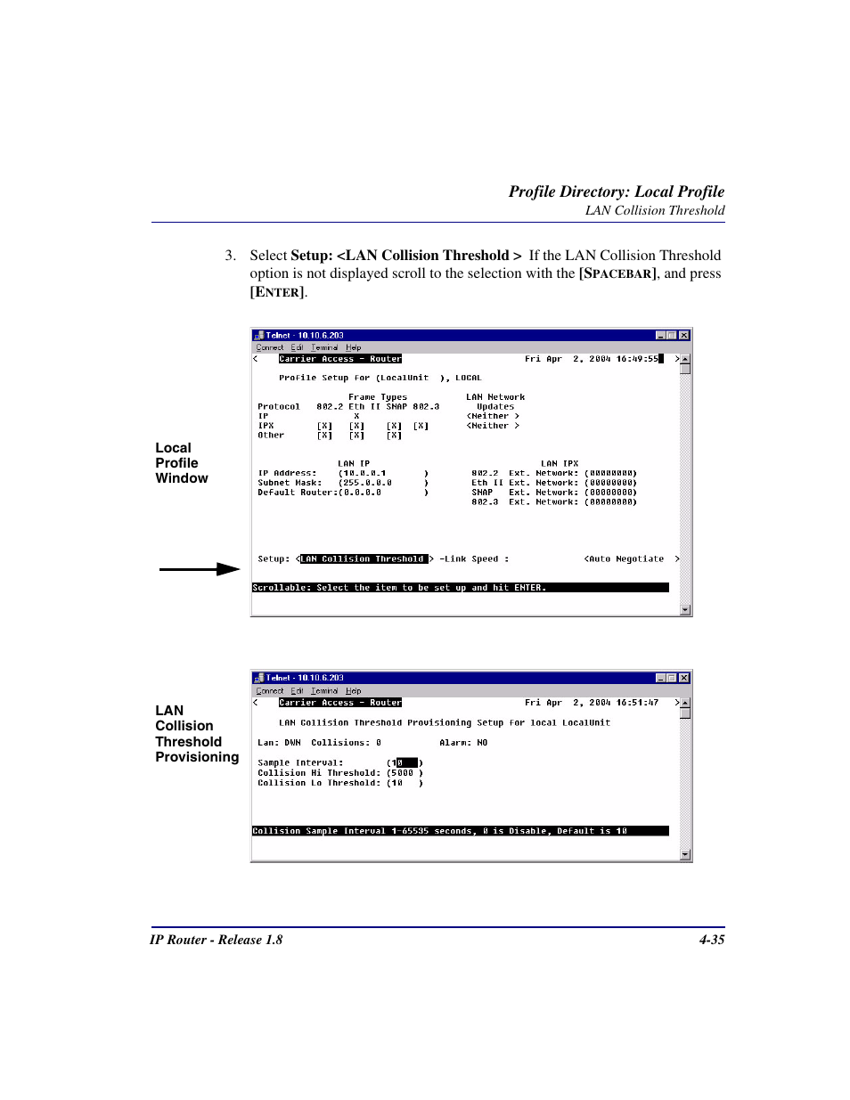 Carrier Access 770-0015 AM User Manual | Page 91 / 250