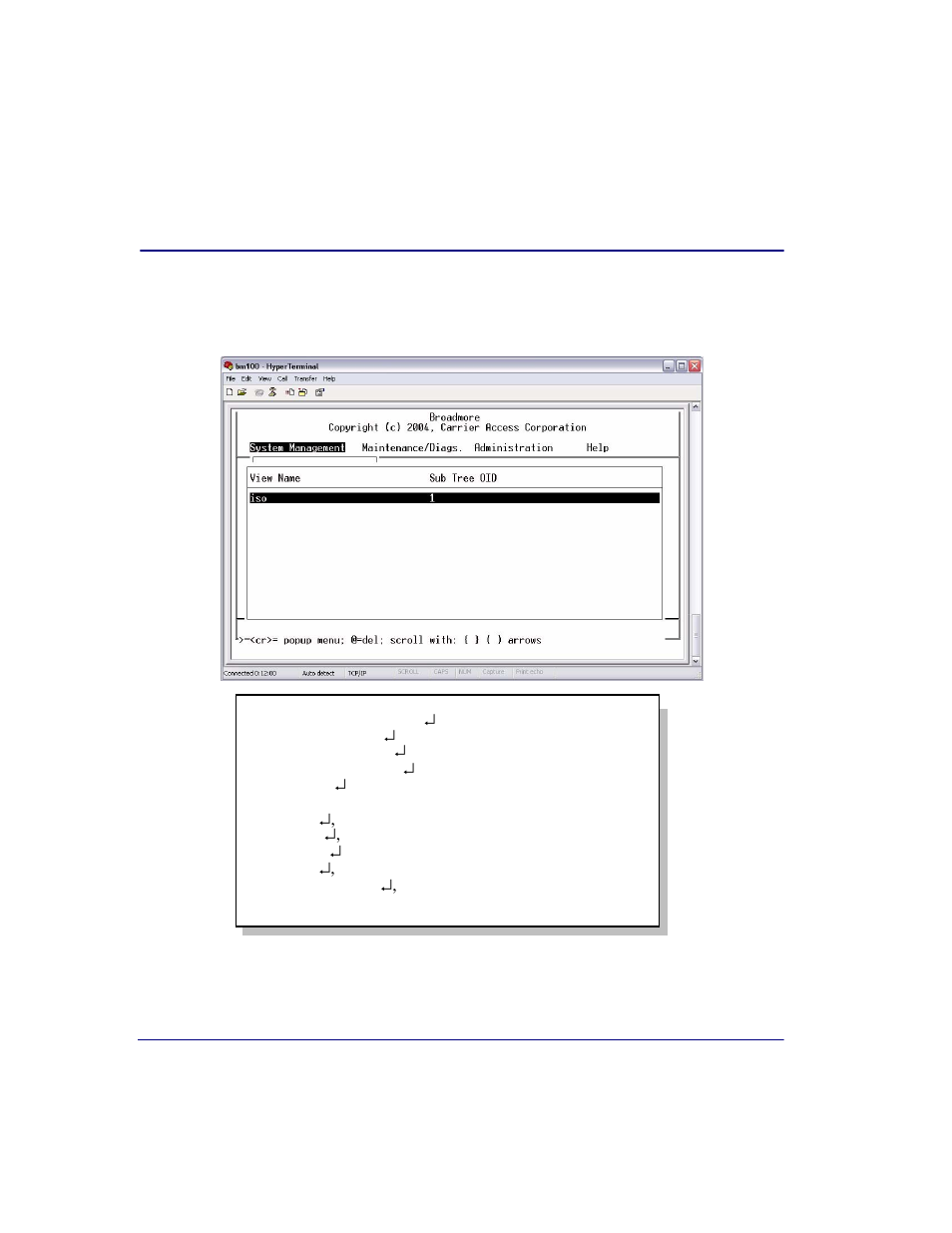 Views, Views -16 | Carrier Access Broadmore 1750 User Manual | Page 334 / 420